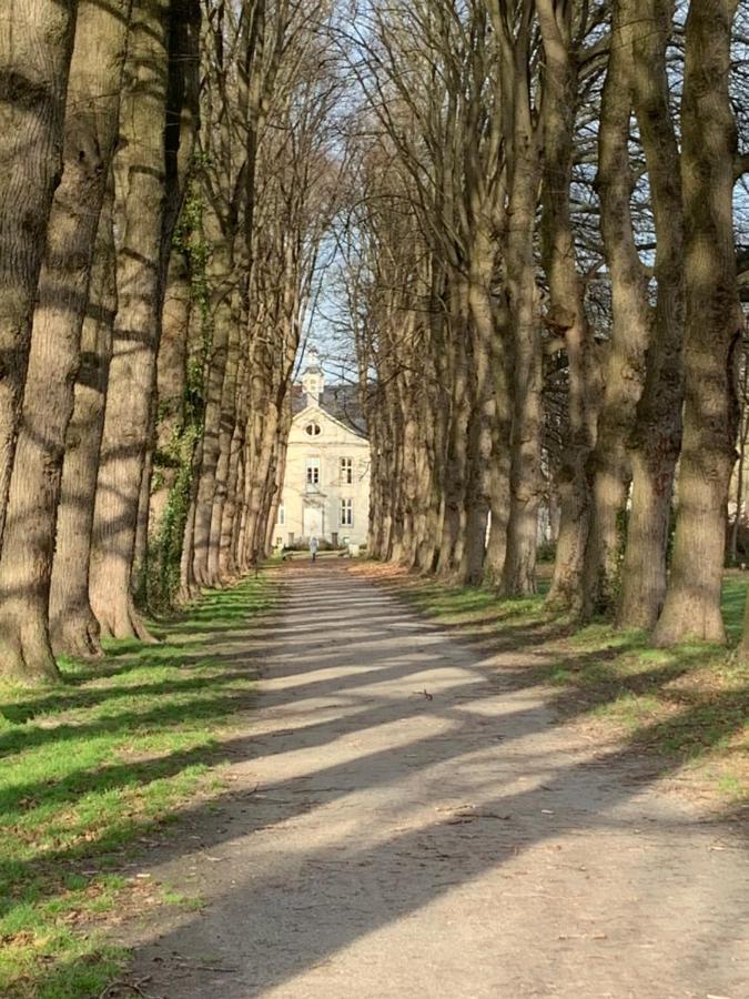 De Lotuspoort Met Mihr'S B&B In De Abdij Van 博尔内姆 外观 照片